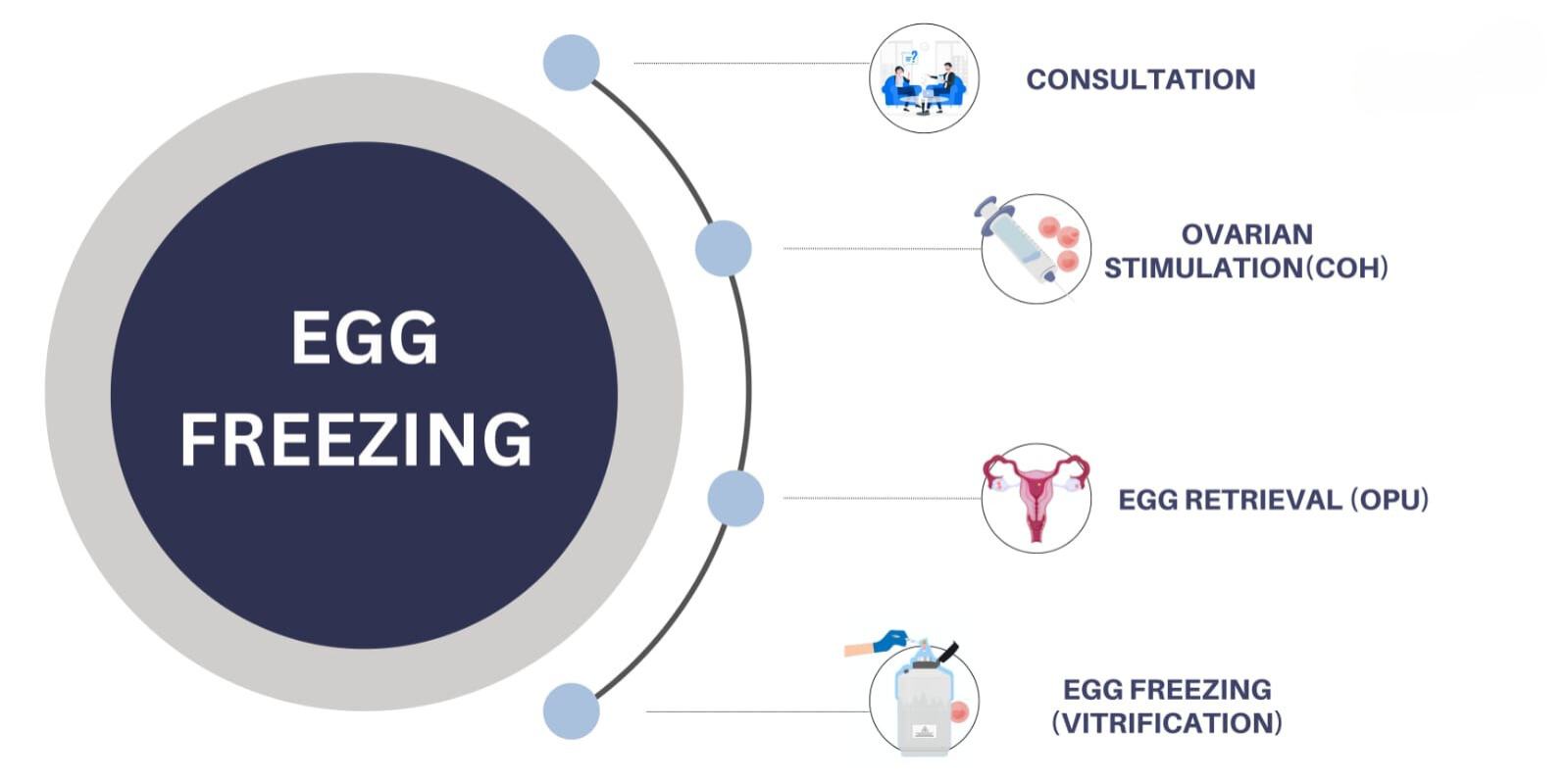 The Egg Freezing Procedure Step-by-Step